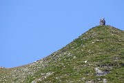 88 Zoom sull'omone 